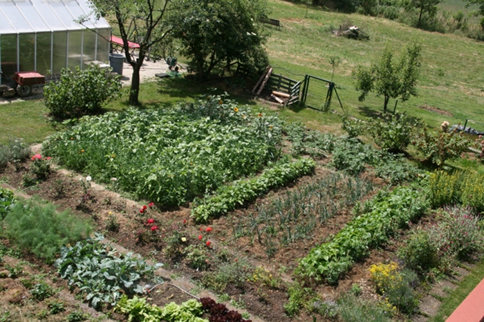 Gemüsegarten